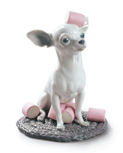 Chihuahua with Marshmallows